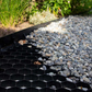 EuroGravel Kiesgitter PLUS mit Unkrautvlies Schwarz