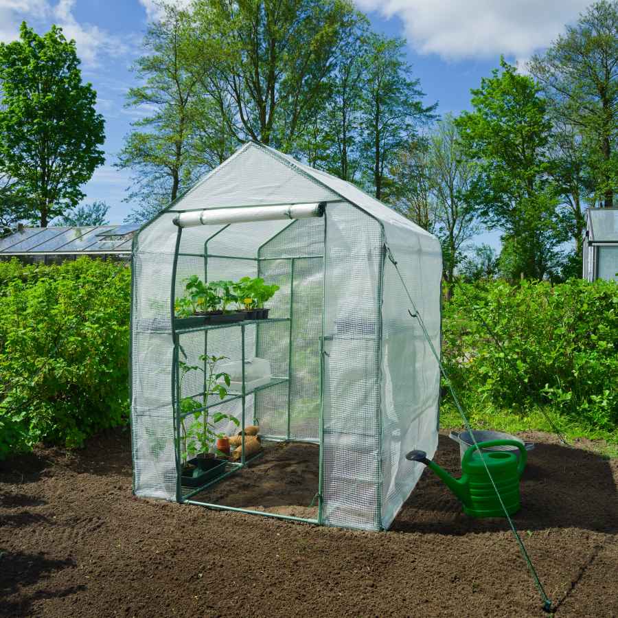 Gartengewächshaus mit 2 herausnehmbaren Böden H195 x 143 x 143 cm