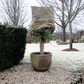 Jute Winterabdeckhusse