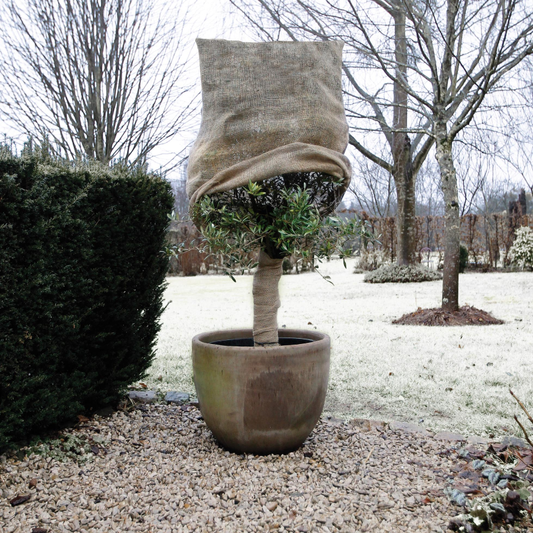 Jute Winterabdeckhusse