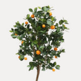 Obstbäume