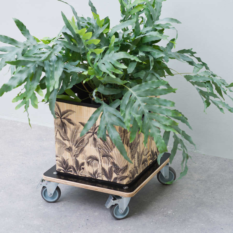 Pflanzentrolley - FSC® Holz