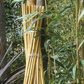 Tonkinstäbe naturfarben