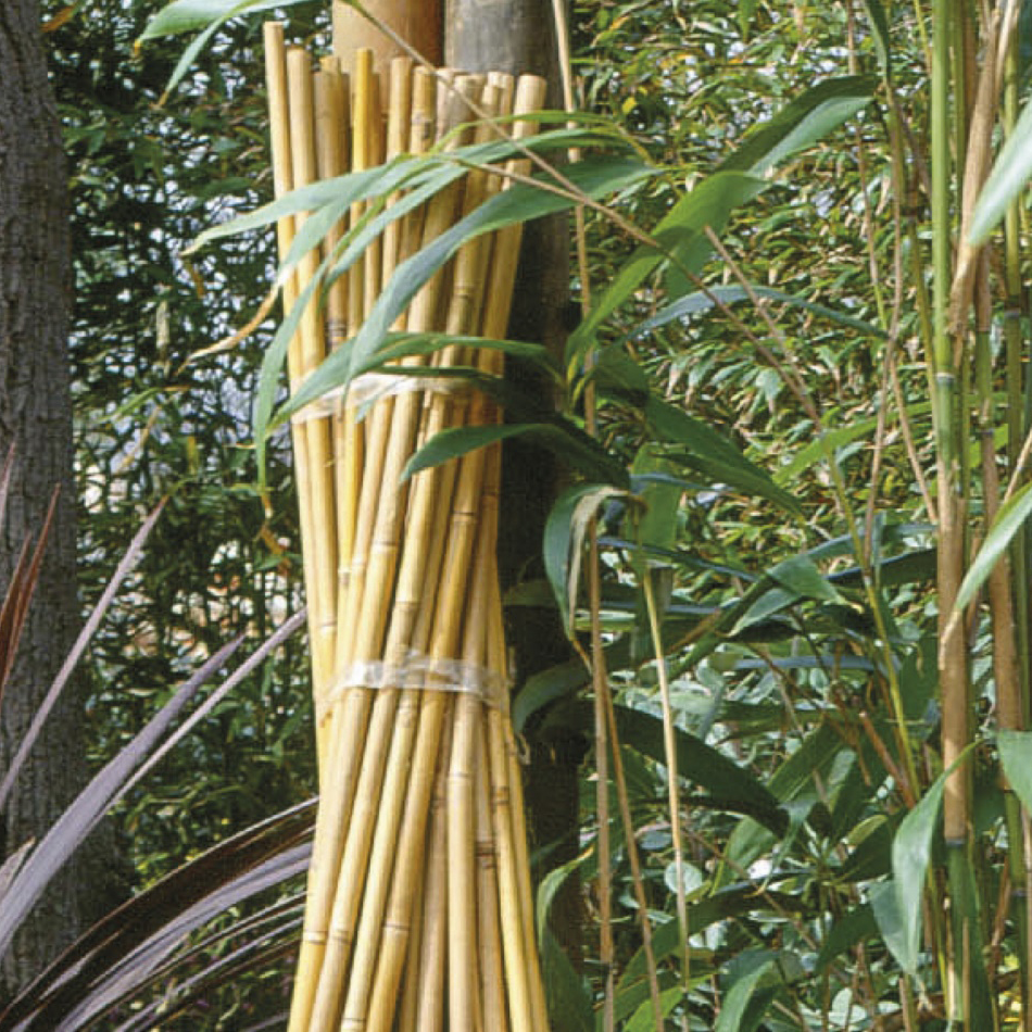 Tonkinstäbe naturfarben