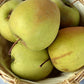 Spalier-Apfelbaum 'Golden Delicious' niedrig