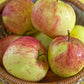 Apfelbaum 'James Grieve' Halbstamm