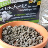 Bio-Dünger