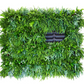 Pflanzenwand LivePanel Pack 248 x 206 cm