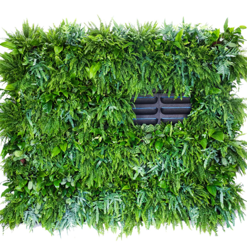Pflanzenwand LivePanel Pack 248 x 206 cm