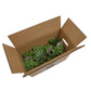 Staudenbeet-Paket 'Romantic Garden'