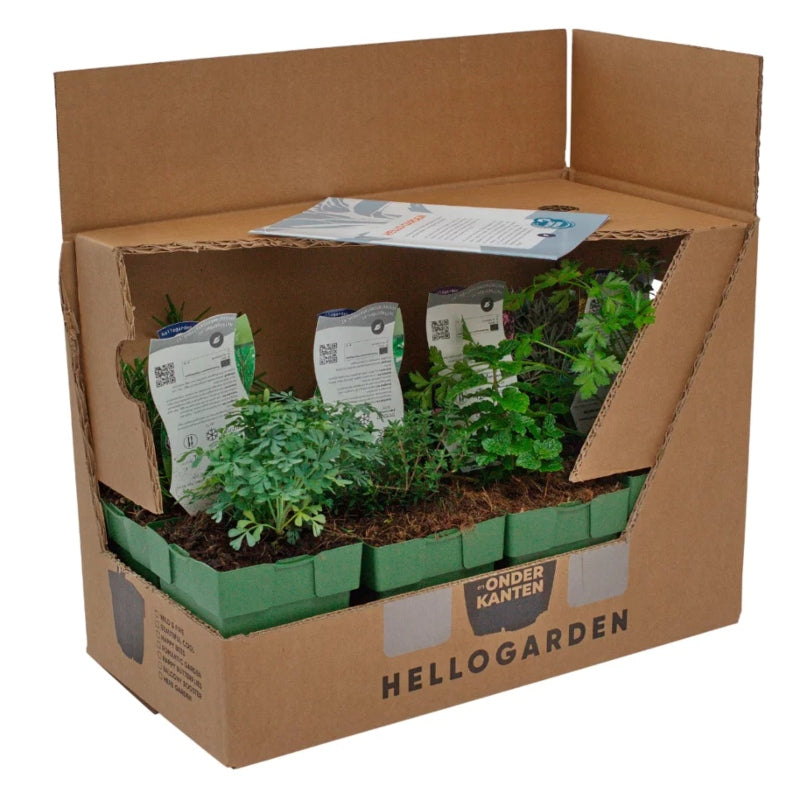 Staudenbeet-Paket 'Herb Garden'