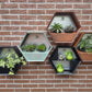 Susteelable Wandblumenkasten grün