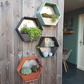 Susteelable Wandblumenkasten orange