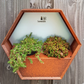 Susteelable Wandblumenkasten orange