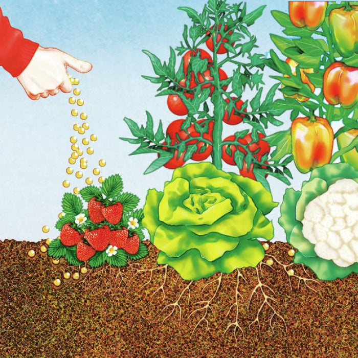 COMPO BIO Universal Langzeit-Dünger mit Schafwolle
