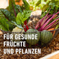 COMPO BIO Universal-Erde torffrei