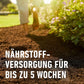 COMPO BIO Universal-Erde torffrei