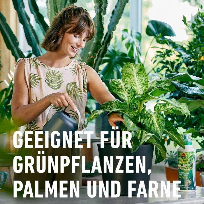 COMPO Grünpflanzen- und Palmendünger