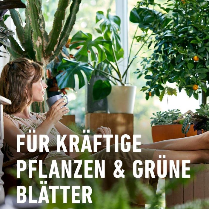 COMPO Grünpflanzen- und Palmendünger