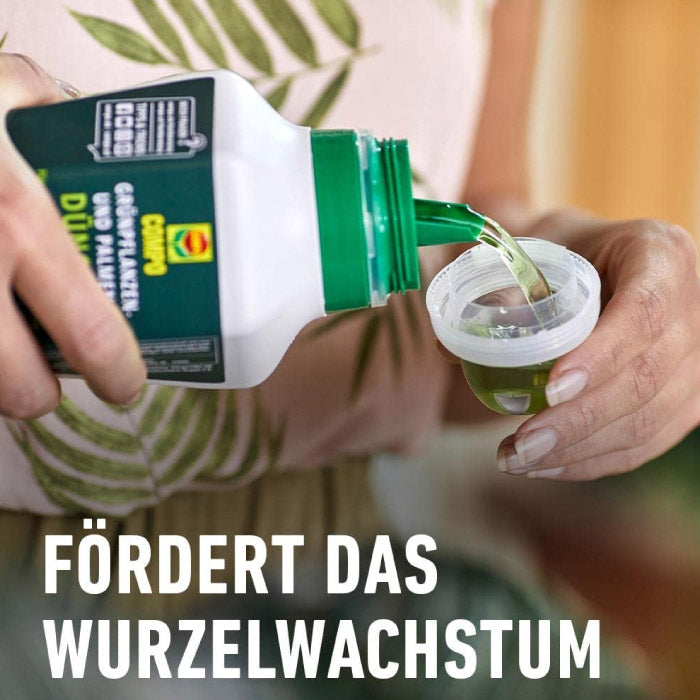 COMPO Grünpflanzen- und Palmendünger