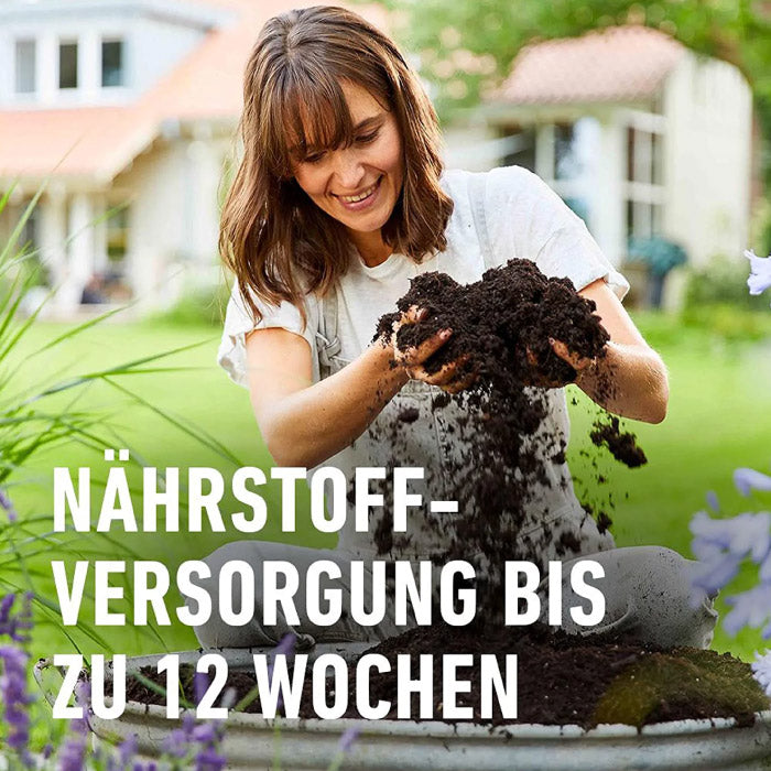 COMPO SANA® Grünpflanzen- und Palmenerde