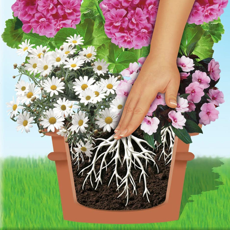 COMPO SANA Qualitäts-Blumenerde