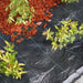 Anti-Unkrautgewebe Nature schwarz
